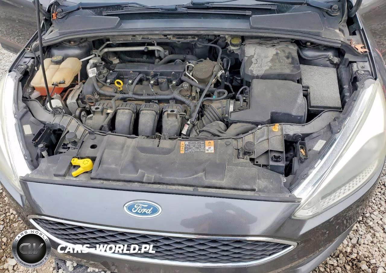 2015 Ford Focus Se VIN:1FADP3K21FL245383 - 11