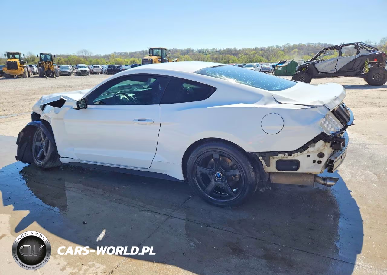 2016 Ford Mustang VIN:1FA6P8AM0G5264957 - 2