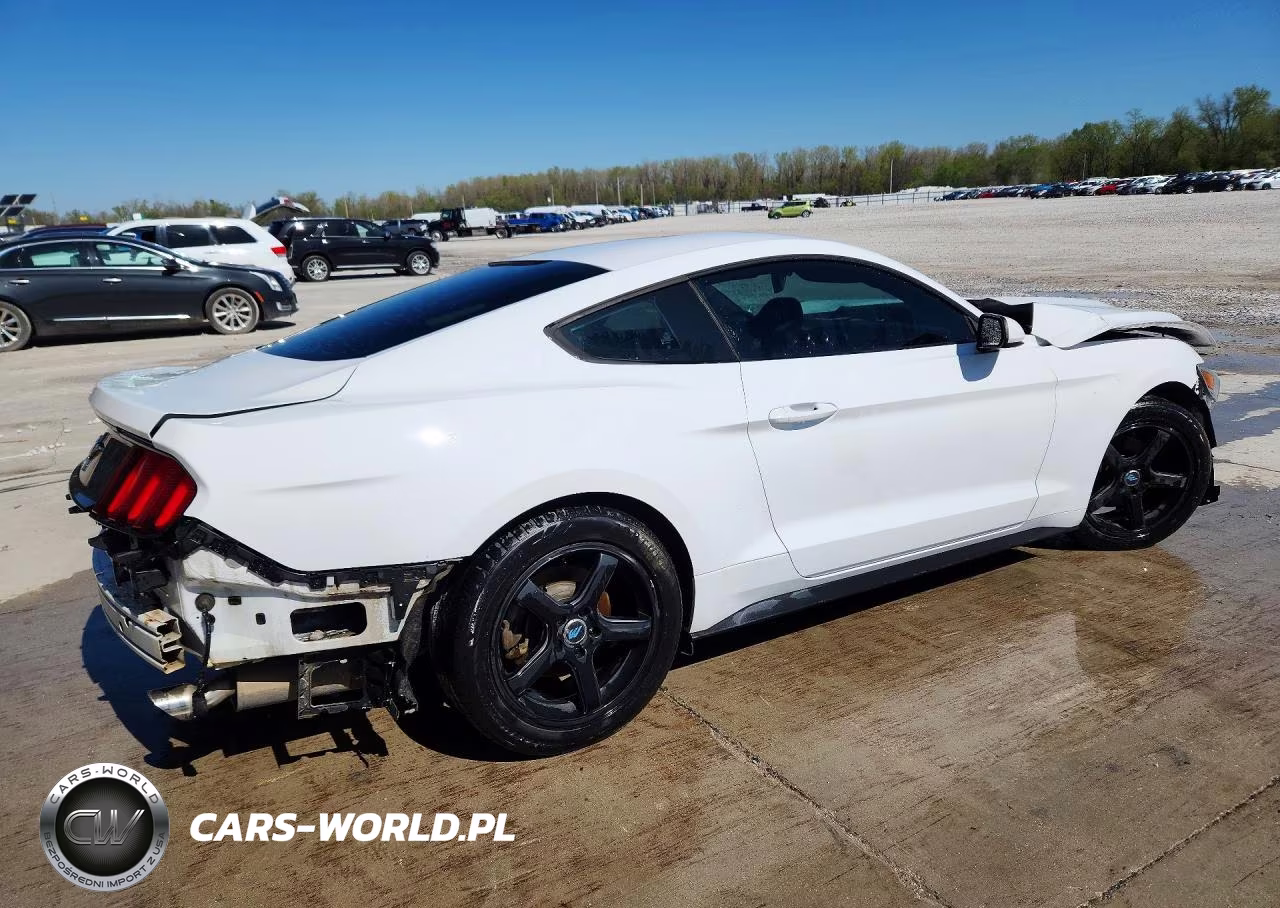 2016 Ford Mustang VIN:1FA6P8AM0G5264957 - 3