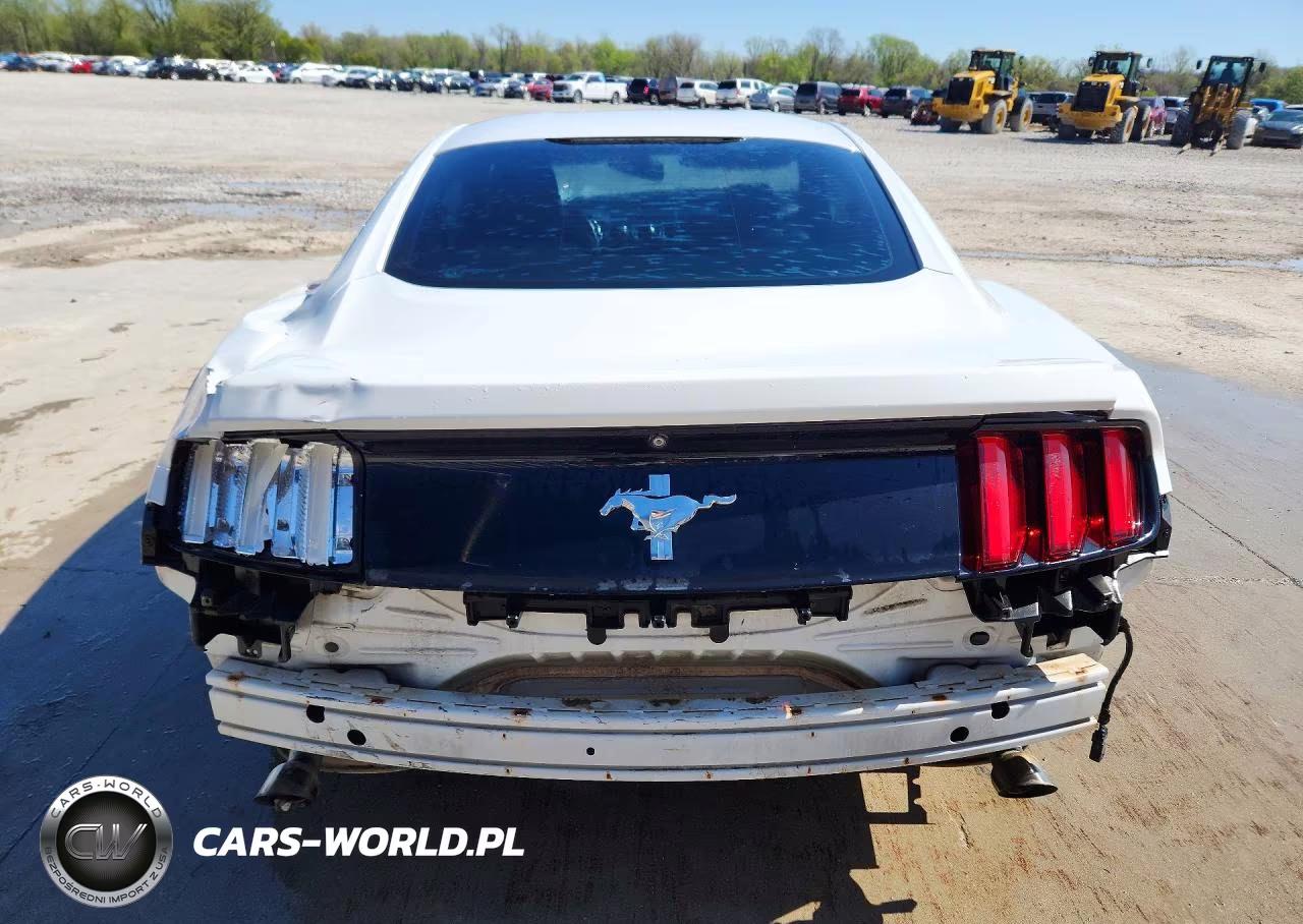 2016 Ford Mustang VIN:1FA6P8AM0G5264957 - 6