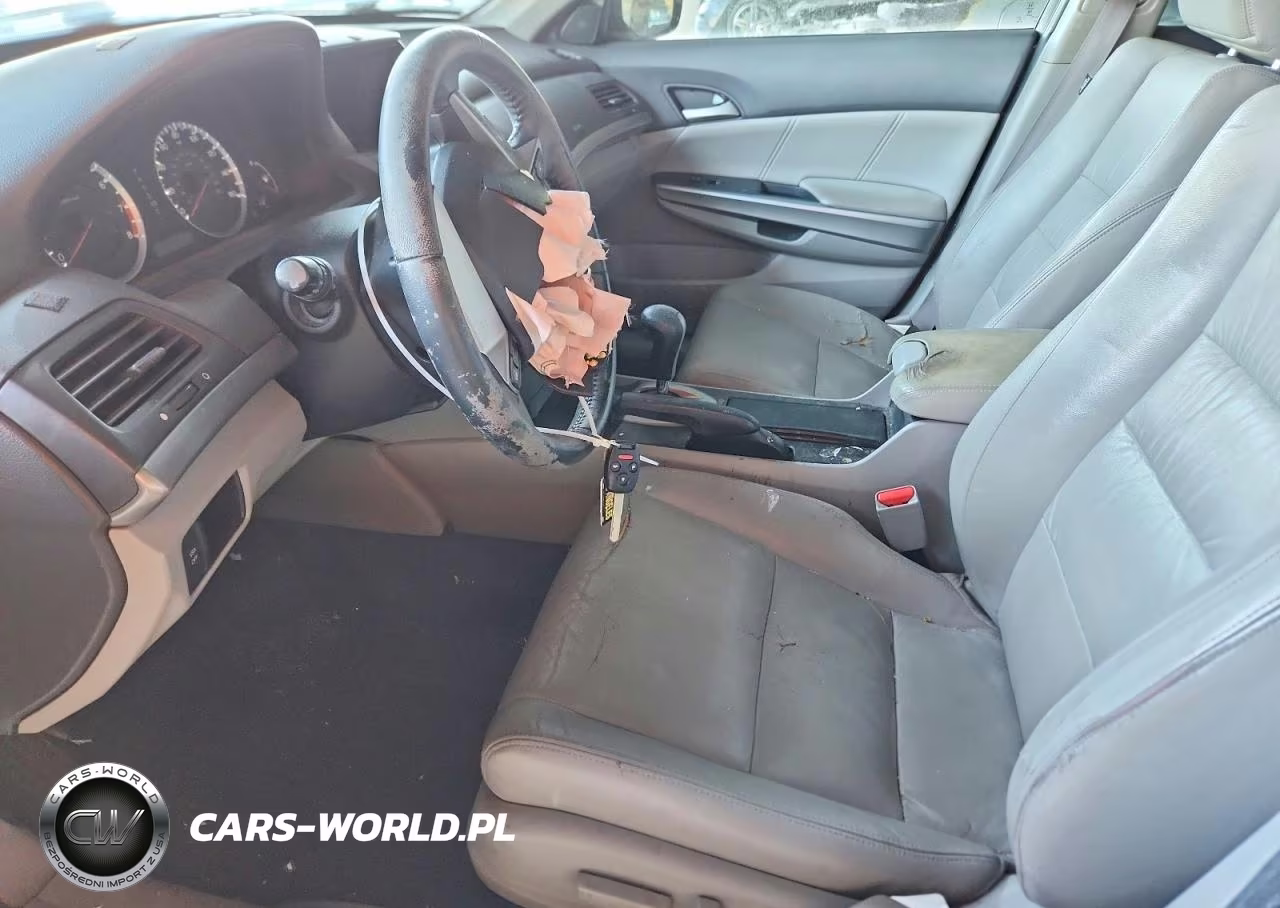 2010 Honda Accord Exl VIN:1HGCP3F8XAA030305 - 7