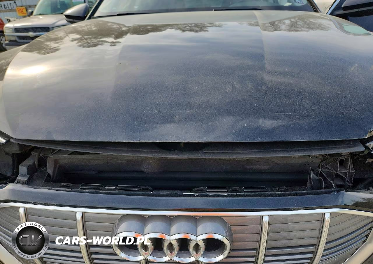 2021 Audi E-Tron Premium VIN:WA1AAAGE9MB011267 - 12