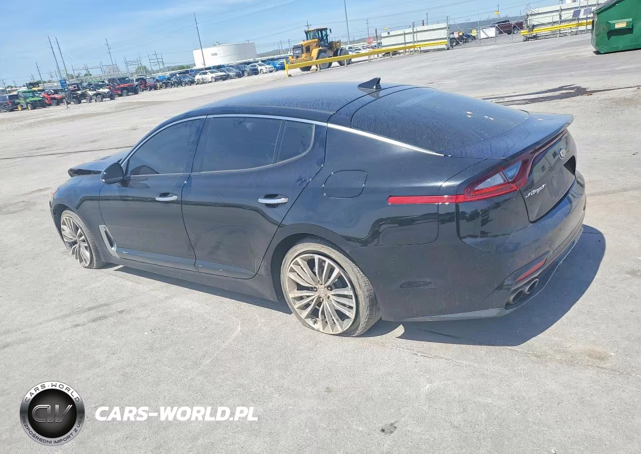 2019 Kia Stinger Base VIN:KNAE15LA1K6060046 - 2