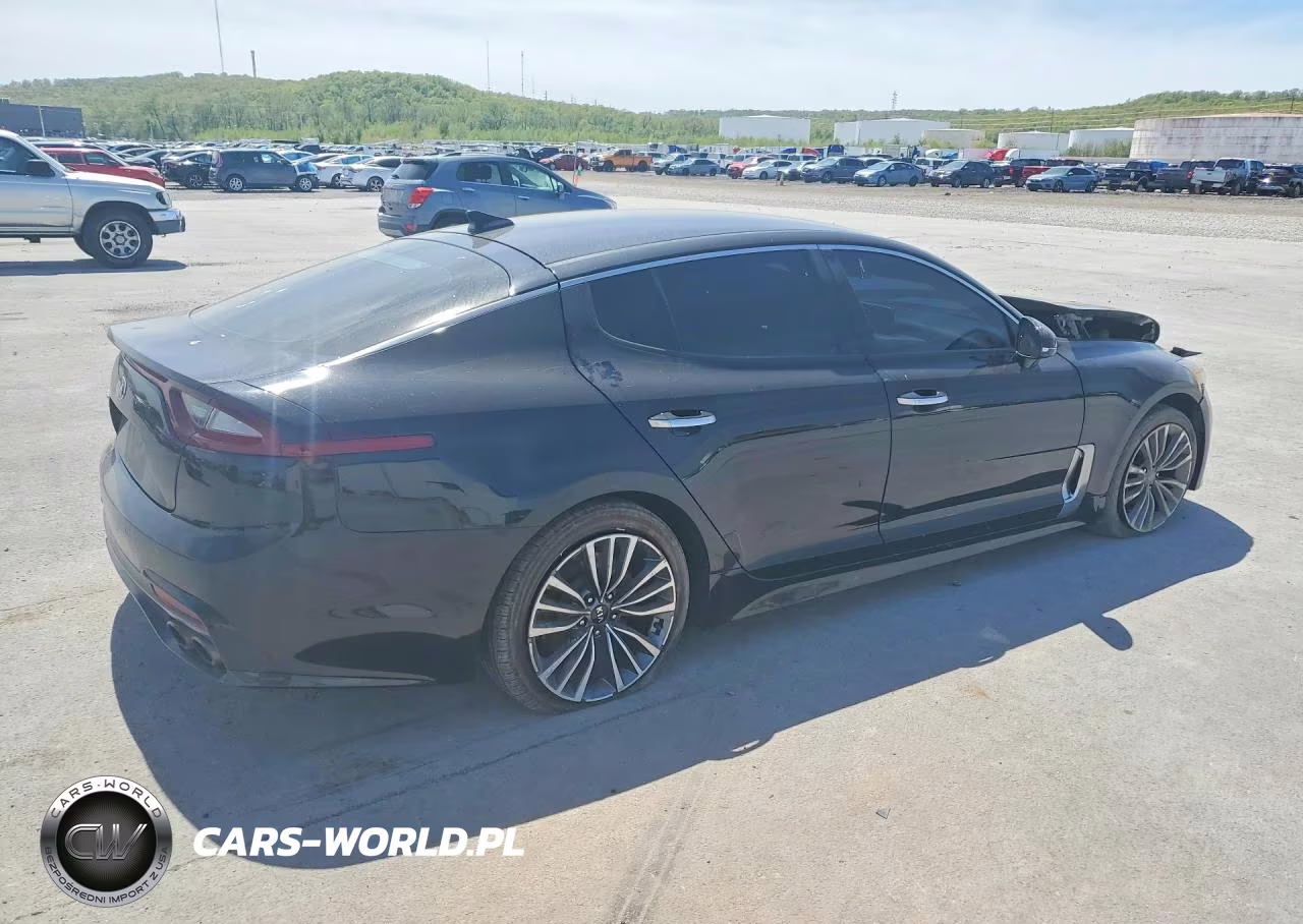 2019 Kia Stinger Base VIN:KNAE15LA1K6060046 - 3
