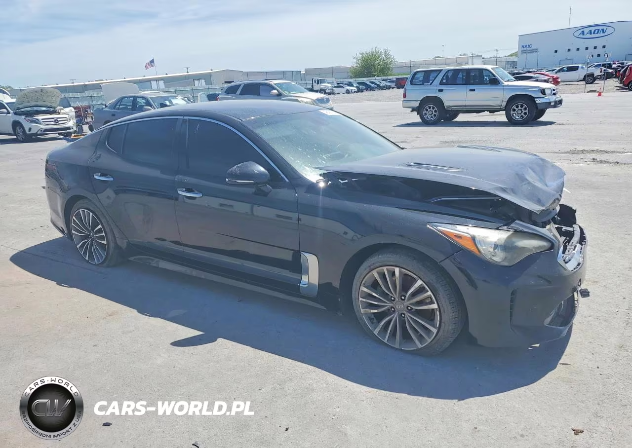 2019 Kia Stinger Base VIN:KNAE15LA1K6060046 - 4