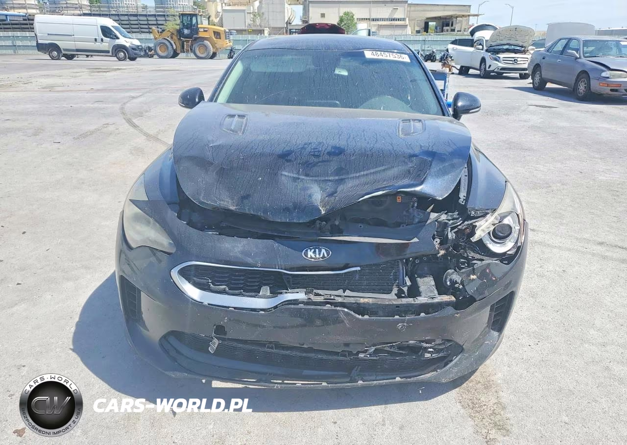2019 Kia Stinger Base VIN:KNAE15LA1K6060046 - 5