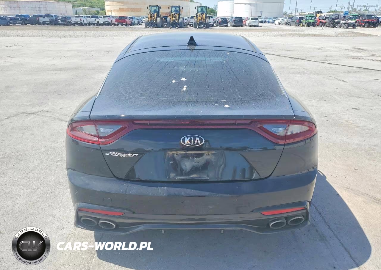 2019 Kia Stinger Base VIN:KNAE15LA1K6060046 - 6