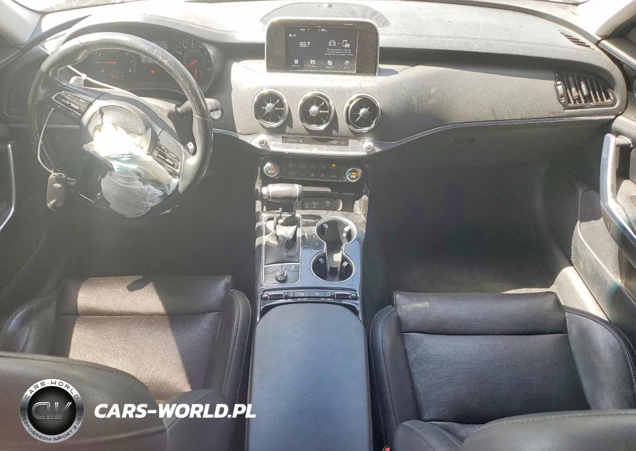 2019 Kia Stinger Base VIN:KNAE15LA1K6060046 - 8