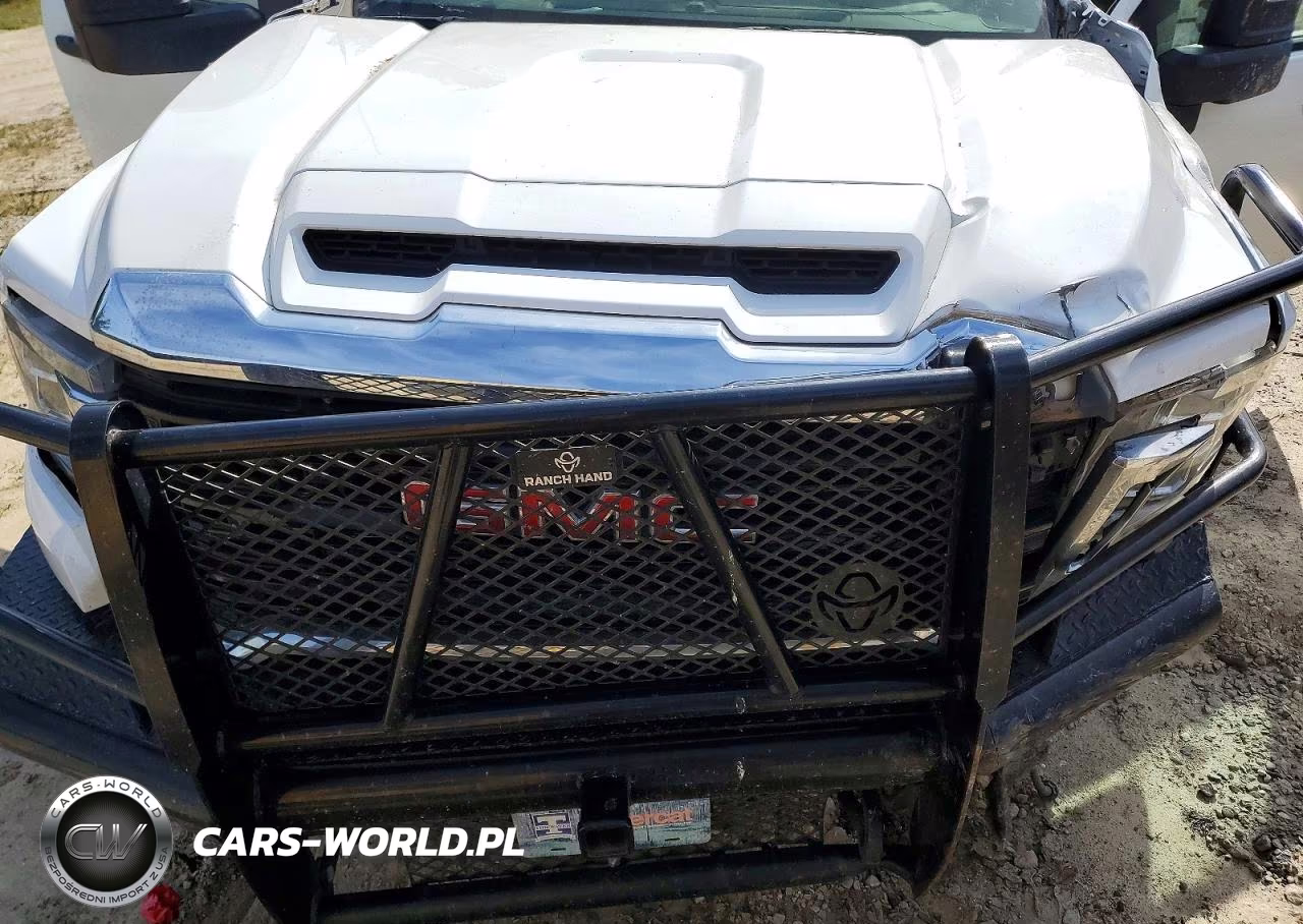 2023 GMC Sierra Hd Flatbed Truck VIN:1GD49SEY3PF116085 - 11