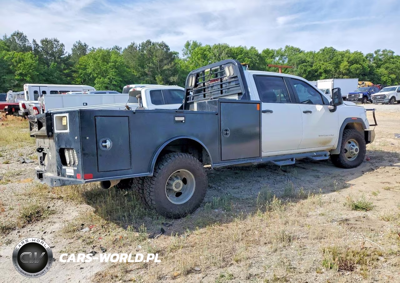 2023 GMC Sierra Hd Flatbed Truck VIN:1GD49SEY3PF116085 - 3