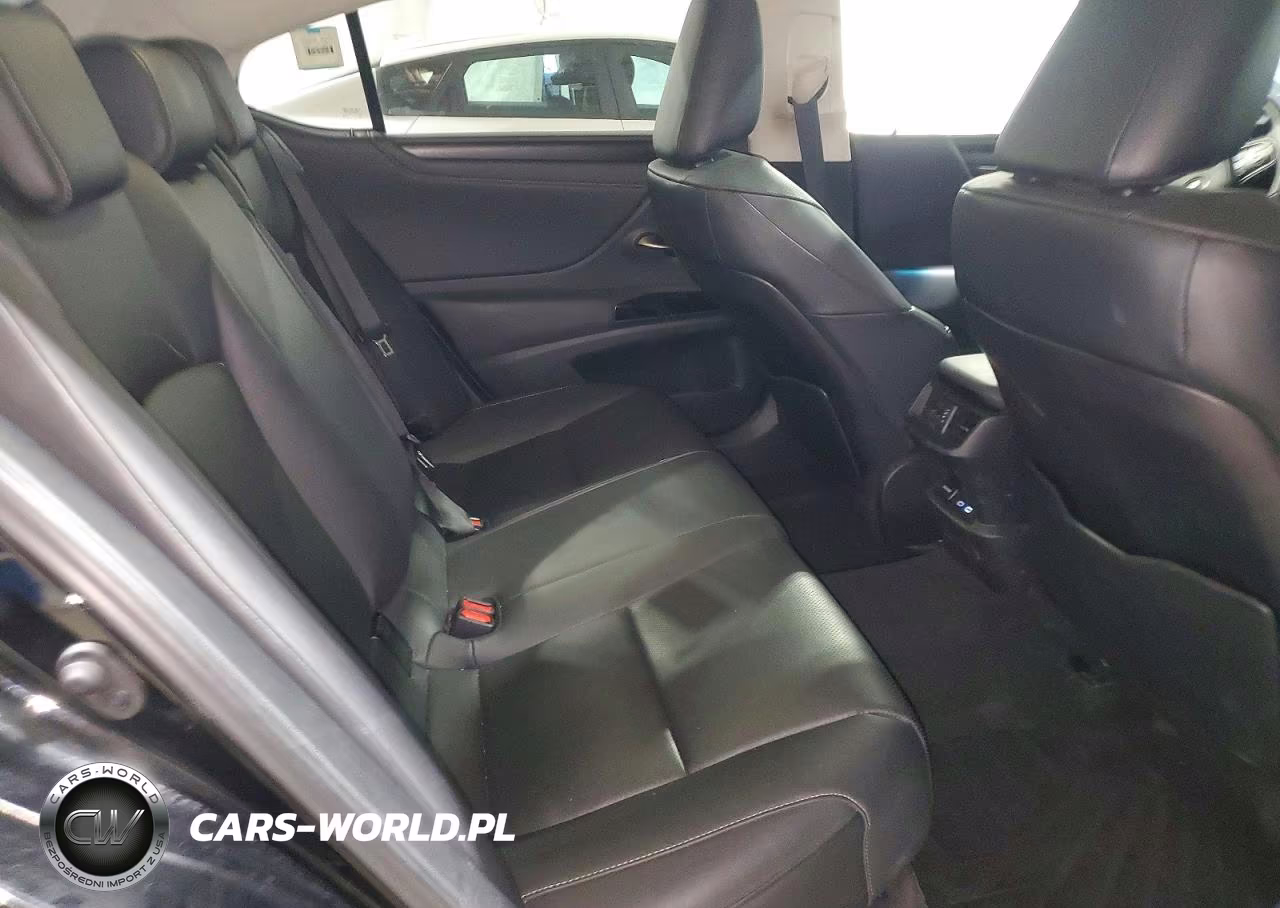 2023 Lexus Es 350 Base VIN:58ADZ1B16PU157915 - 10