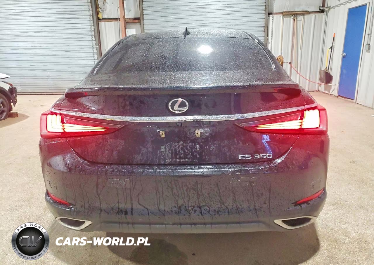 2023 Lexus Es 350 Base VIN:58ADZ1B16PU157915 - 6