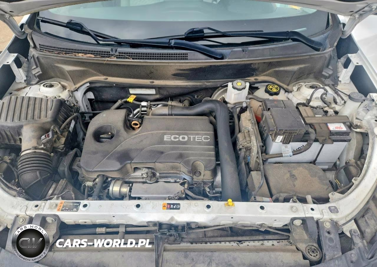 2019 Chevrolet Equinox Ls VIN:3GNAXHEV1KS677838 - 11