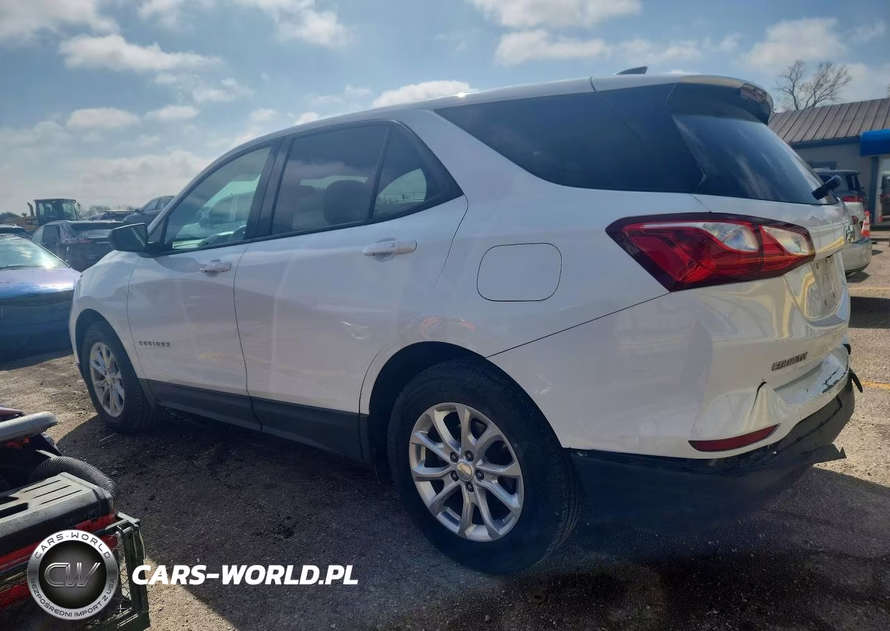 2019 Chevrolet Equinox Ls VIN:3GNAXHEV1KS677838 - 2