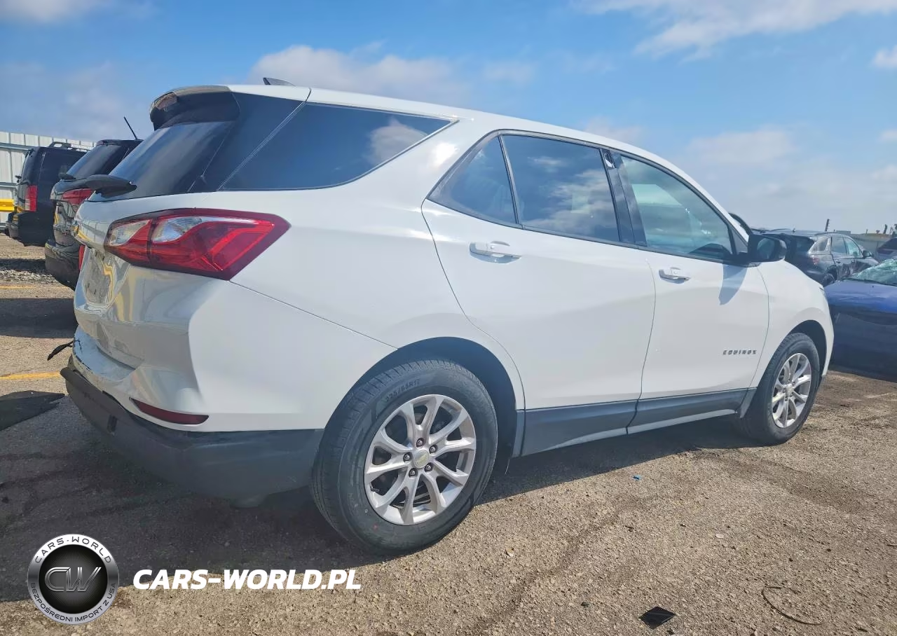 2019 Chevrolet Equinox Ls VIN:3GNAXHEV1KS677838 - 3