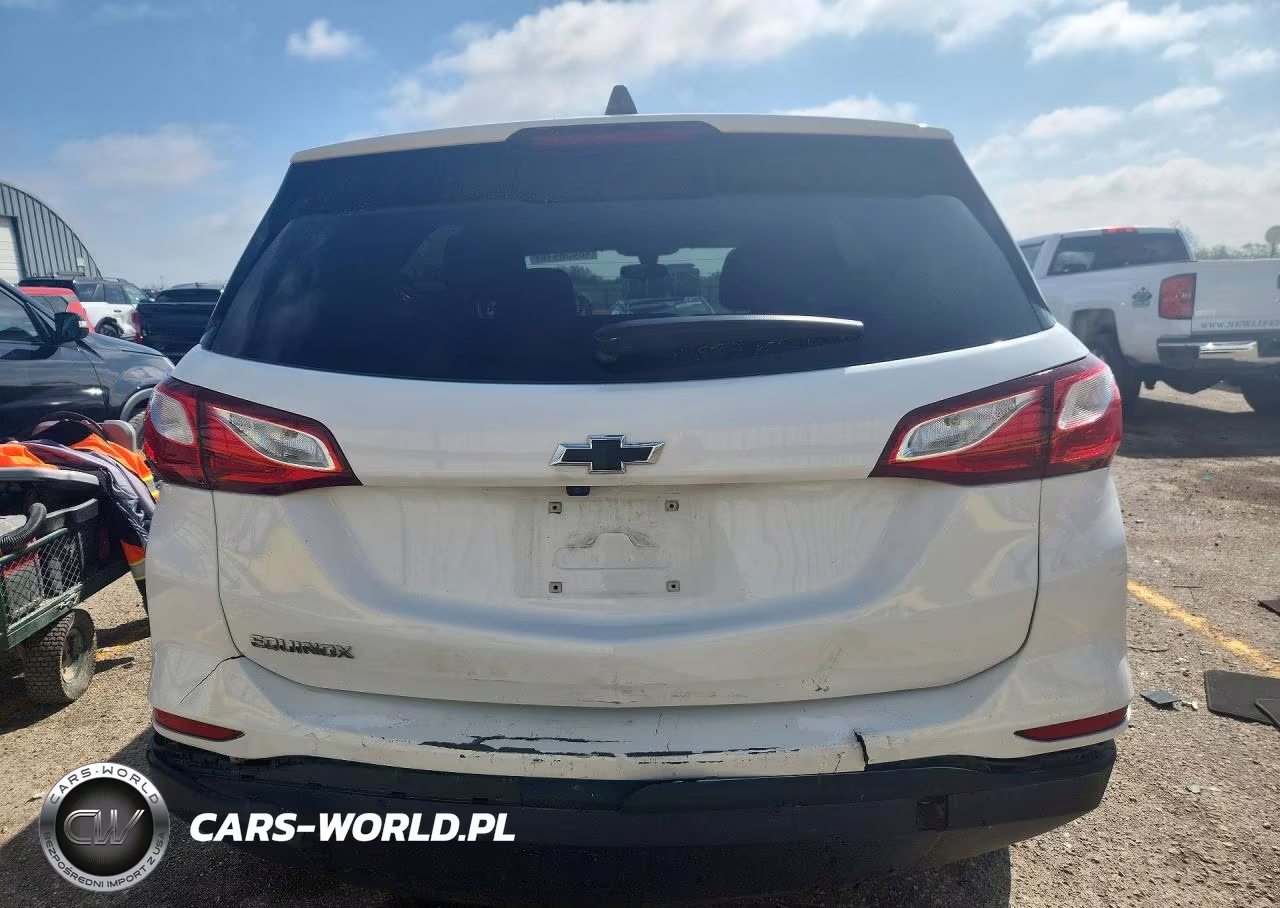 2019 Chevrolet Equinox Ls VIN:3GNAXHEV1KS677838 - 6