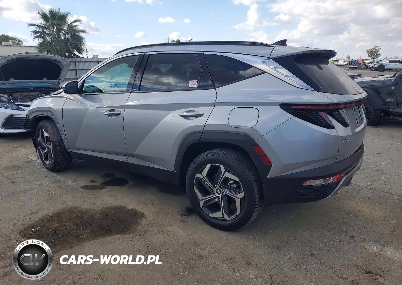 2024 Hyundai Tucson Hybrid Limited VIN:KM8JECD13RU197998 - 2