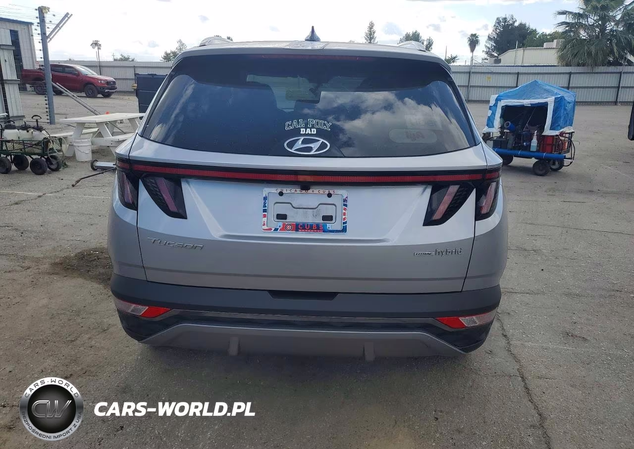 2024 Hyundai Tucson Hybrid Limited VIN:KM8JECD13RU197998 - 6