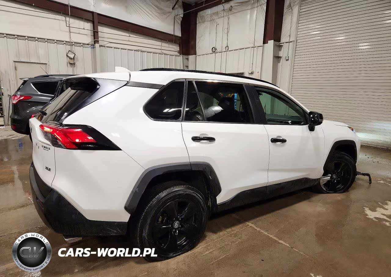 2020 Toyota Rav4 Xle VIN:2T3W1RFV2LC057560 - 3