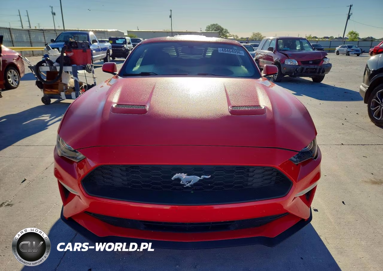 2019 Ford Mustang VIN:1FA6P8TH5K5176687 - 5