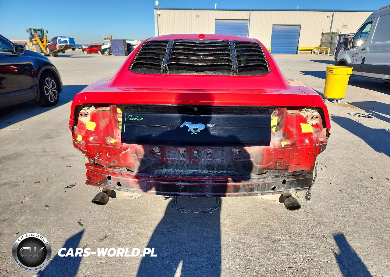 2019 Ford Mustang VIN:1FA6P8TH5K5176687 - 6