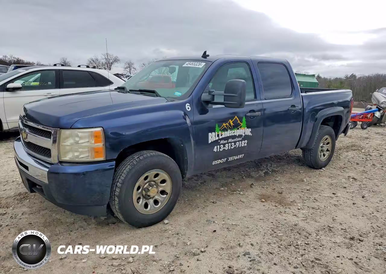 2010 Chevrolet Silverado K1500 Ls