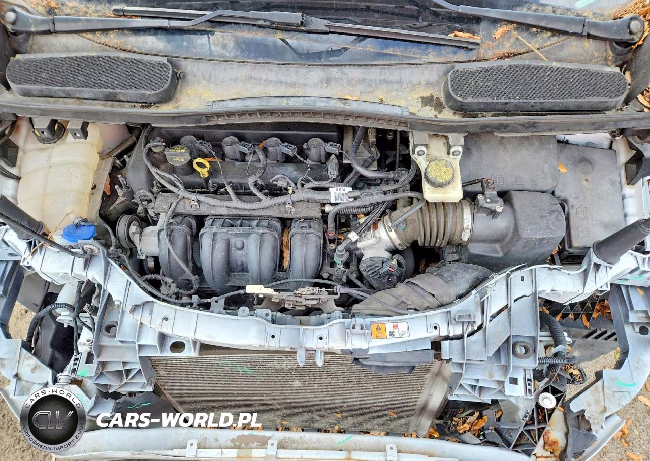 2014 Ford Transit Connect Xl VIN:NM0LE7E76E1145099 - 11