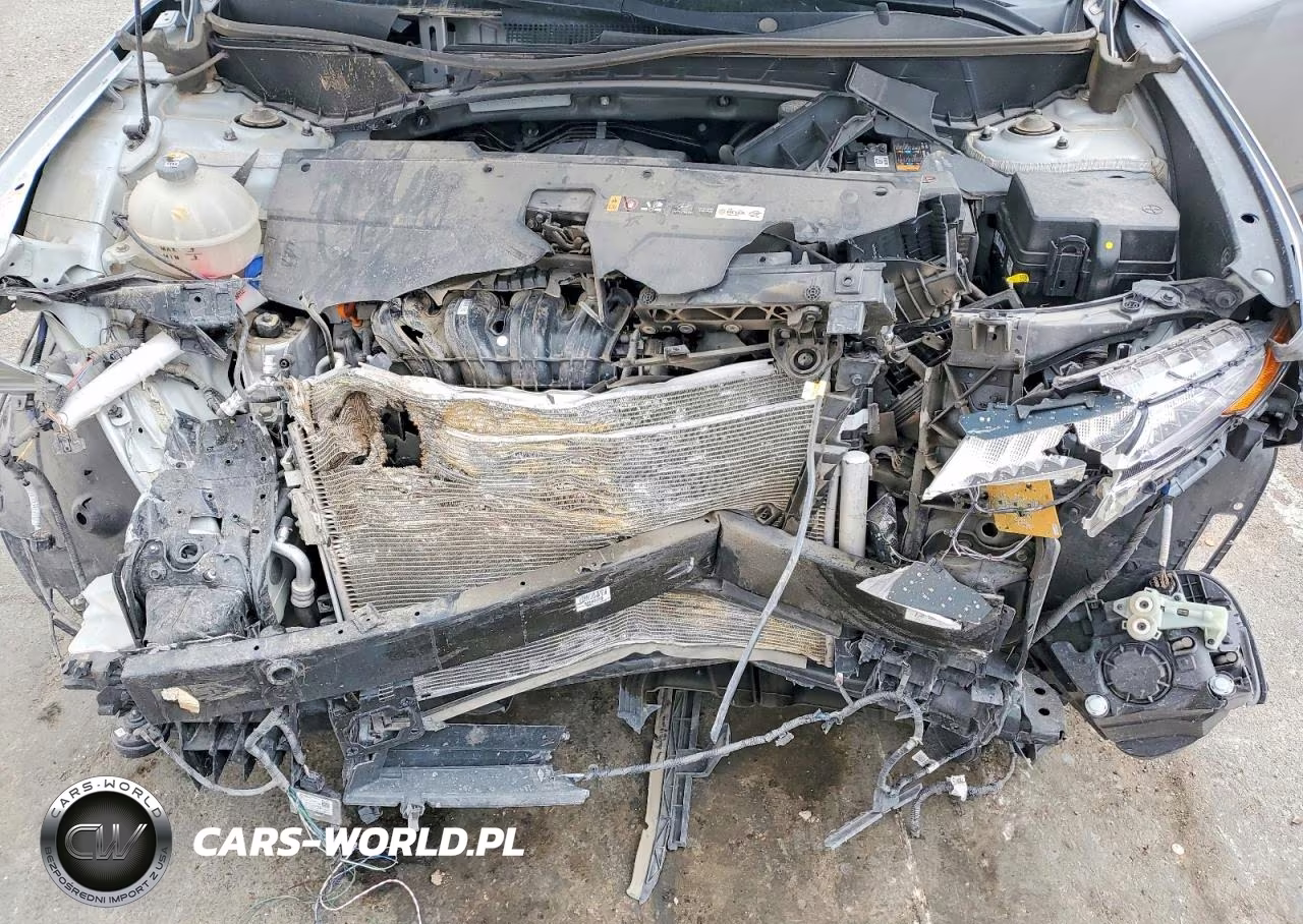 2024 Hyundai Tucson Sel VIN:KM8JB3DE3RU306150 - 12