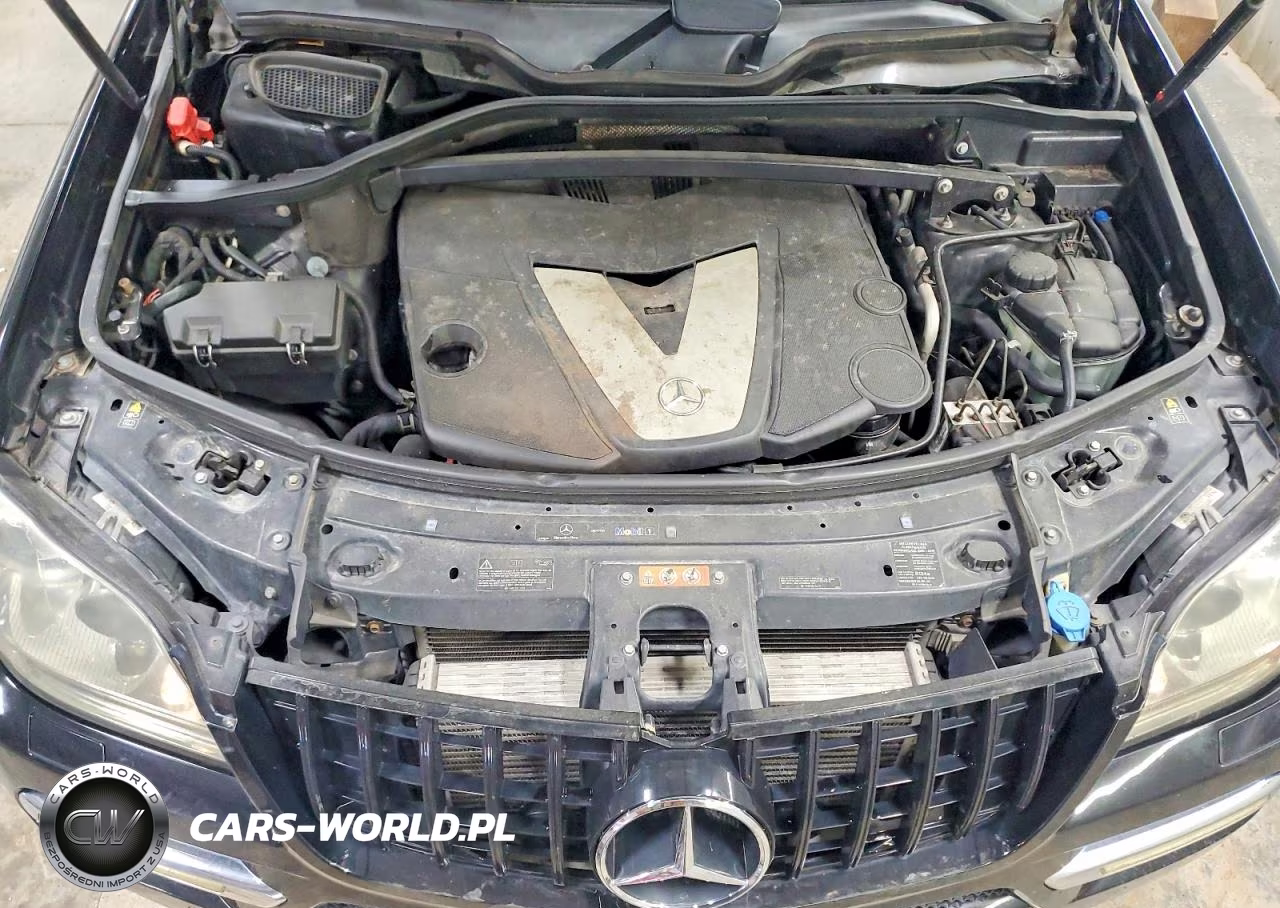 2010 Mercedes-Benz Gl 350 Bluetec VIN:4JGBF2FE0AA552885 - 12