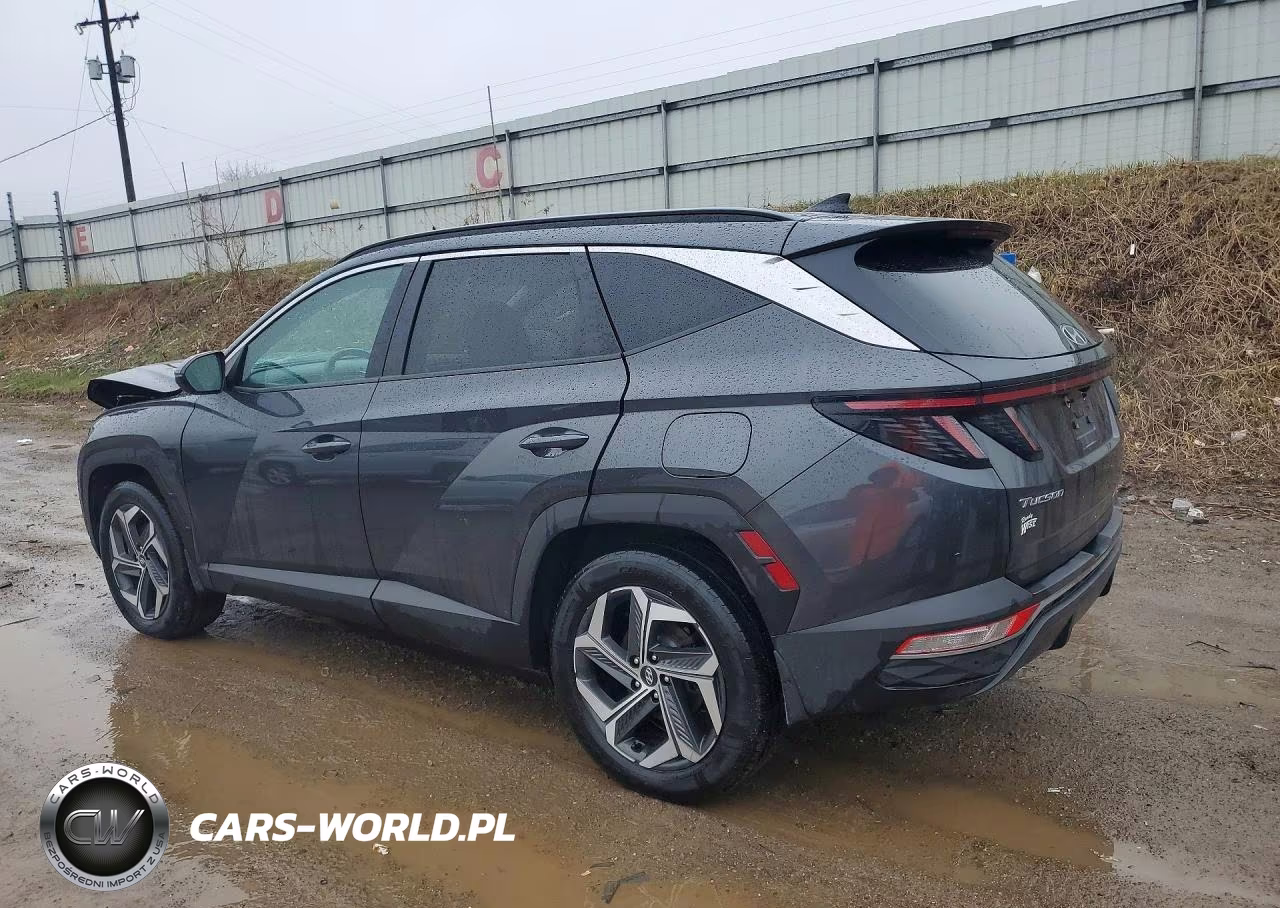 2023 Hyundai Tucson Sel VIN:5NMJFCAE4PH200369 - 2