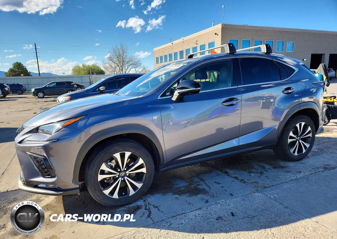 2020 Lexus Nx 300 F Sport