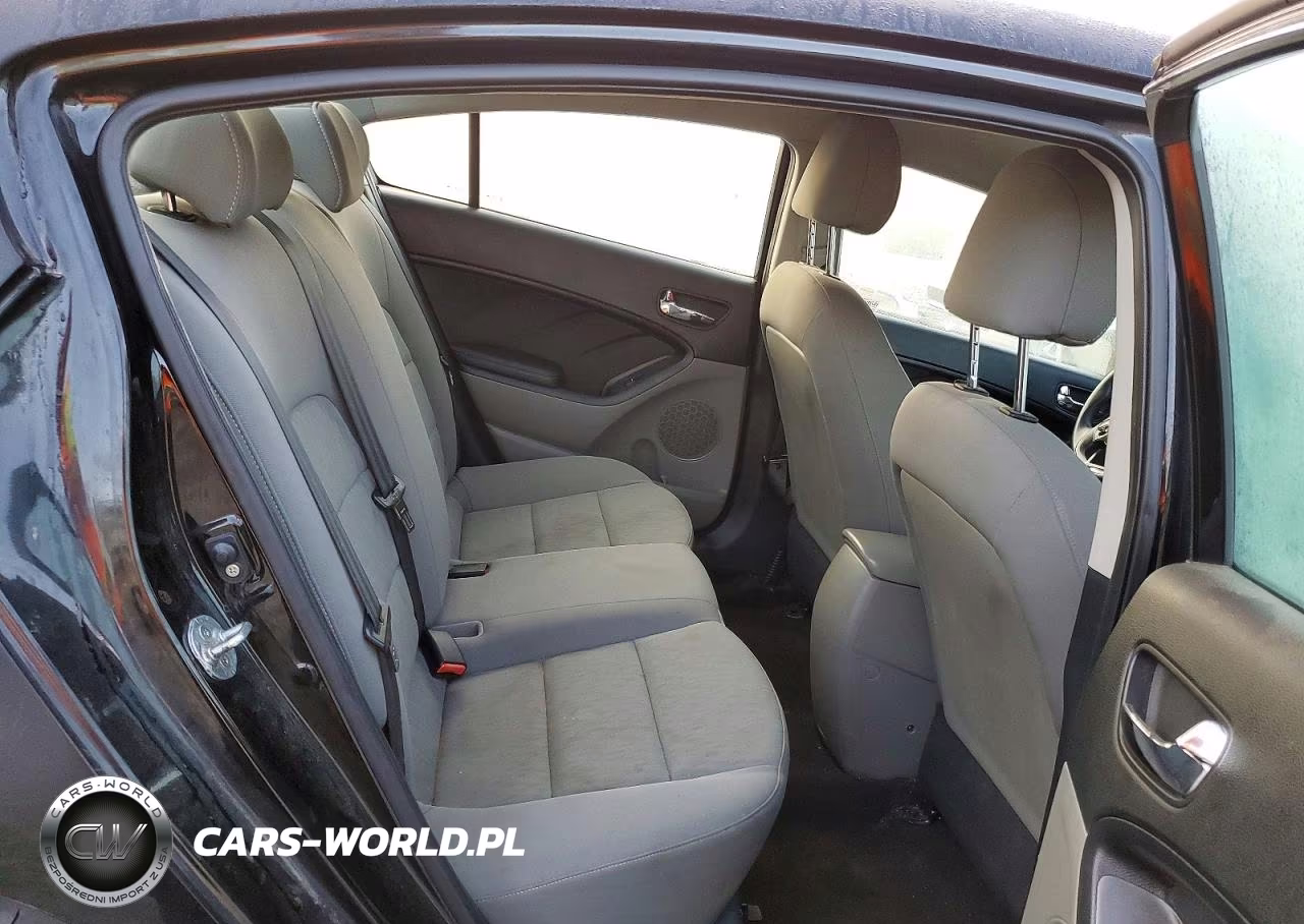 2015 Kia Forte Lx VIN:KNAFK4A66F5316526 - 10