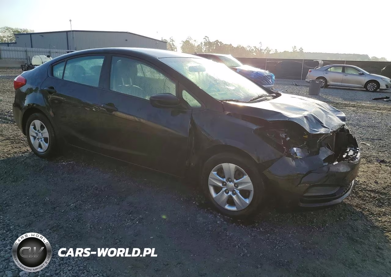 2015 Kia Forte Lx VIN:KNAFK4A66F5316526 - 4