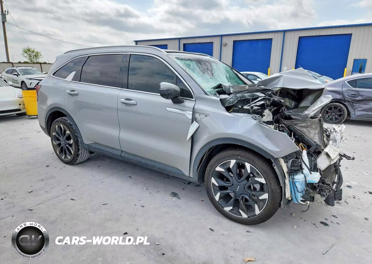 2024 Kia Sorento Sx VIN:5XYRK4JF5RG284812 - 4