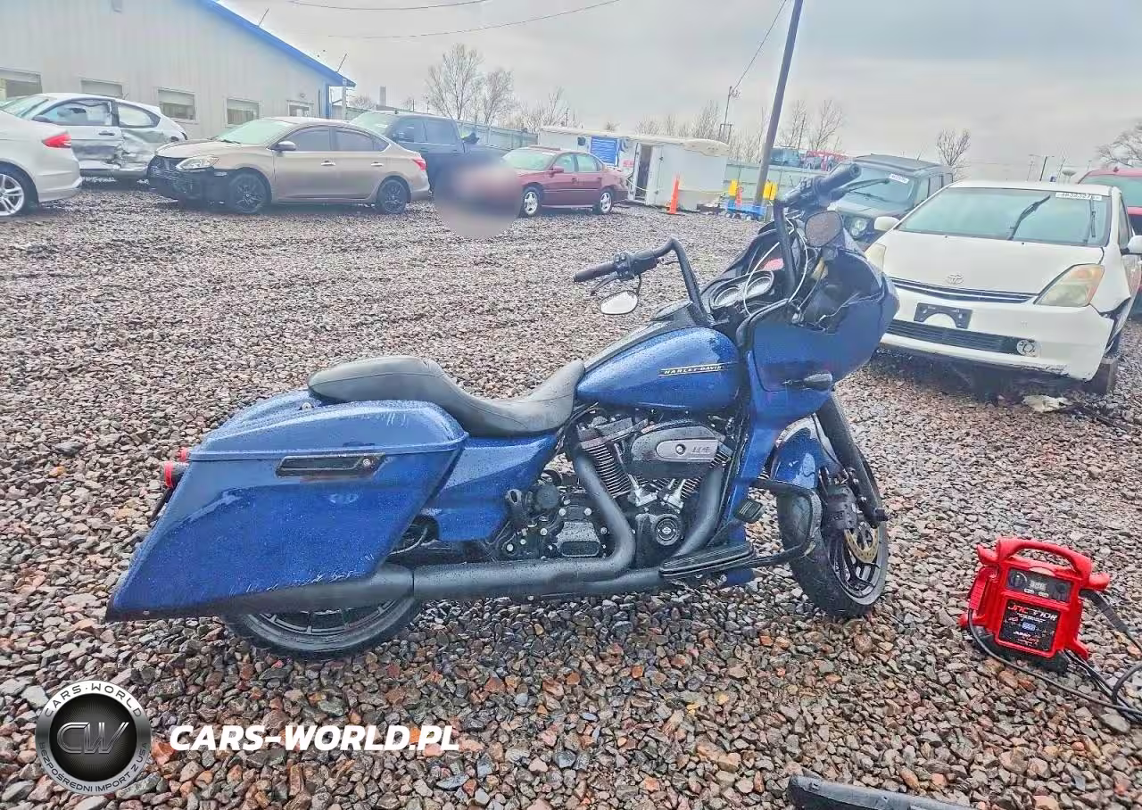 2019 Harley-Davidson Fltrxs