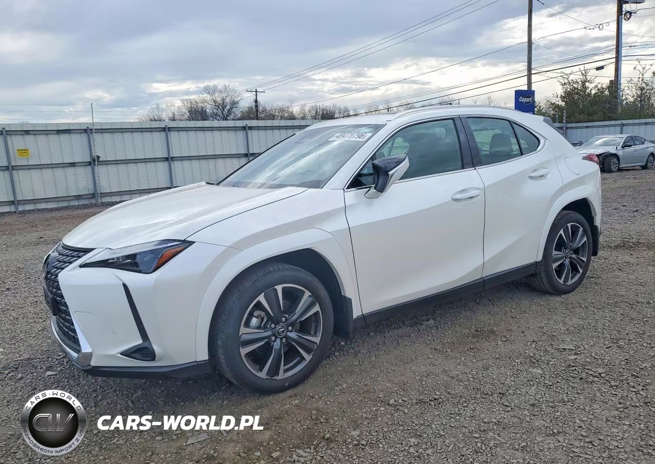 2025 Lexus Ux 300H Premium