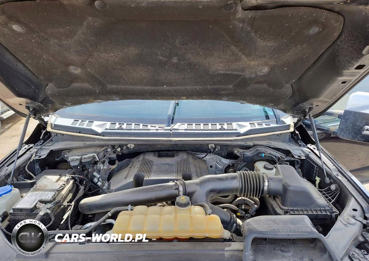 2018 Ford F150 Supercrew VIN:1FTFW1EG2JFD99299 - 11
