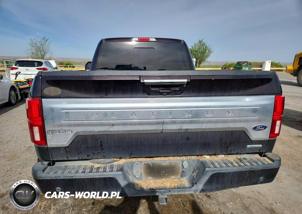 2018 Ford F150 Supercrew VIN:1FTFW1EG2JFD99299 - 6
