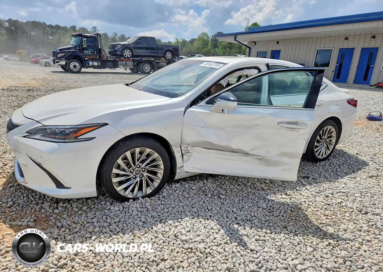 2019 Lexus Es 300H Ultra Luxury