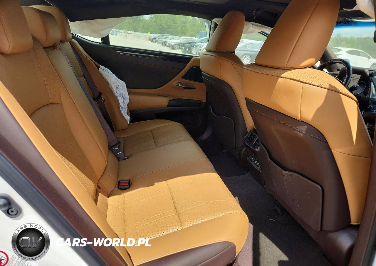 2019 Lexus Es 300H Ultra Luxury VIN:JTHB21B14K2044507 - 10