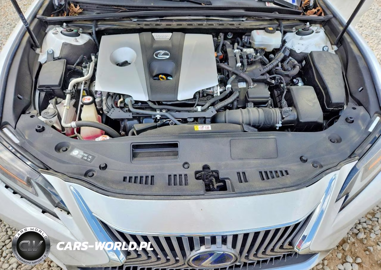 2019 Lexus Es 300H Ultra Luxury VIN:JTHB21B14K2044507 - 11