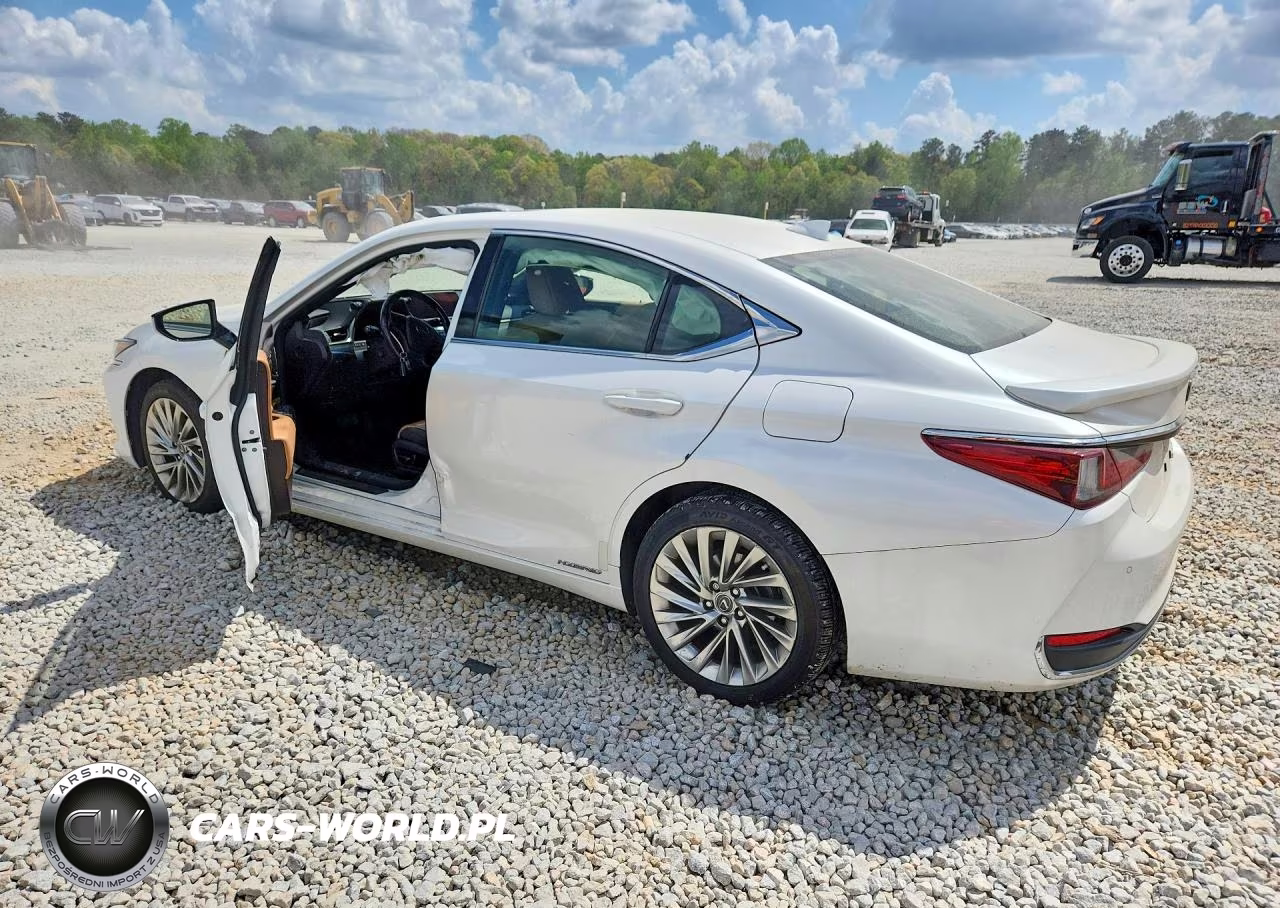 2019 Lexus Es 300H Ultra Luxury VIN:JTHB21B14K2044507 - 2