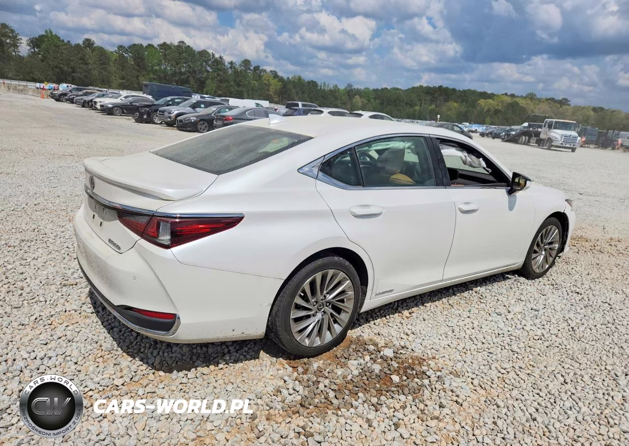 2019 Lexus Es 300H Ultra Luxury VIN:JTHB21B14K2044507 - 3