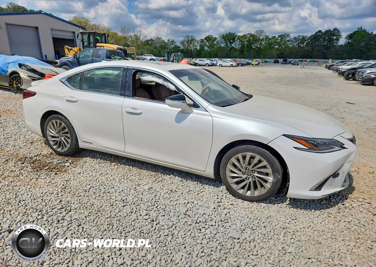 2019 Lexus Es 300H Ultra Luxury VIN:JTHB21B14K2044507 - 4
