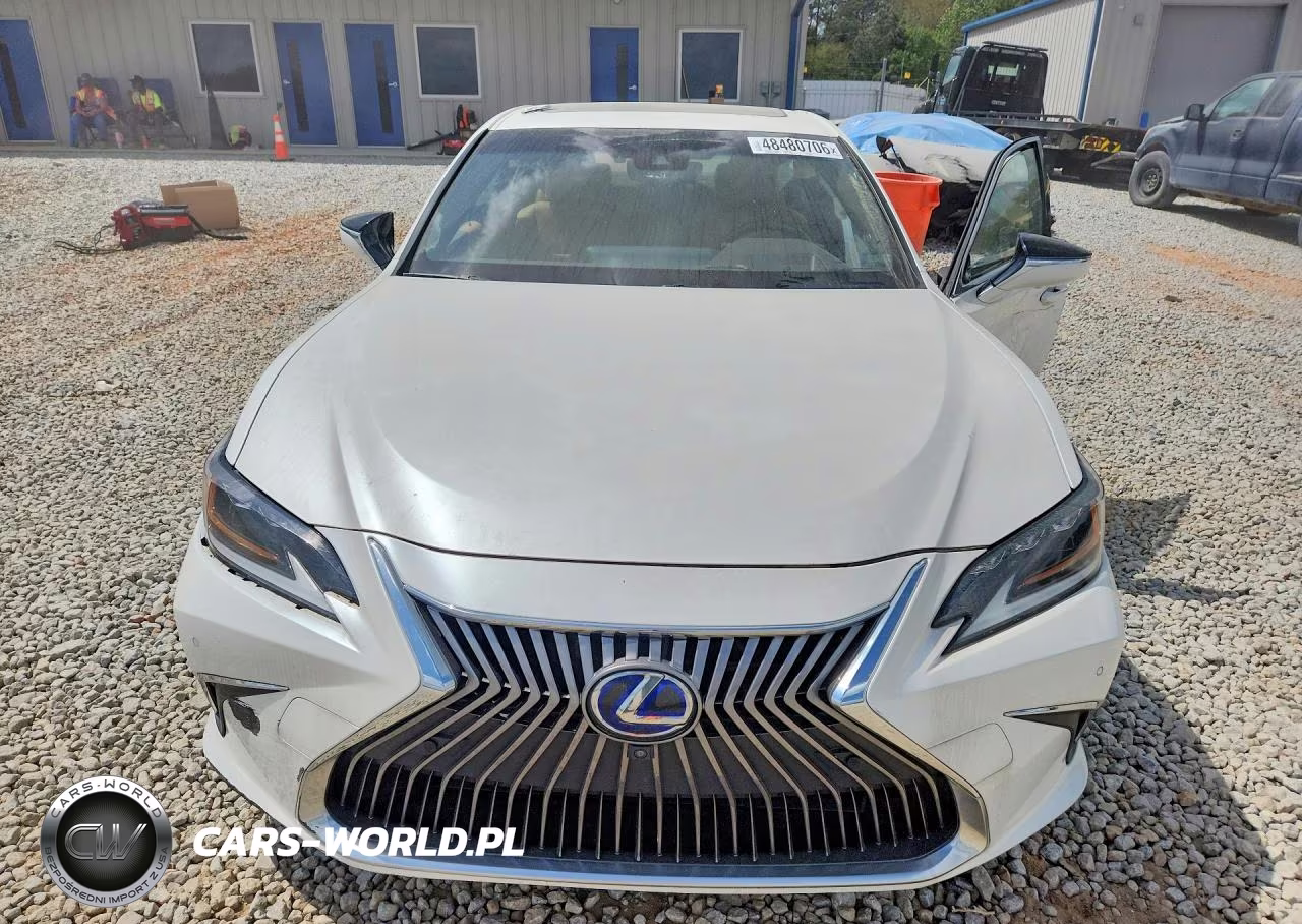 2019 Lexus Es 300H Ultra Luxury VIN:JTHB21B14K2044507 - 5