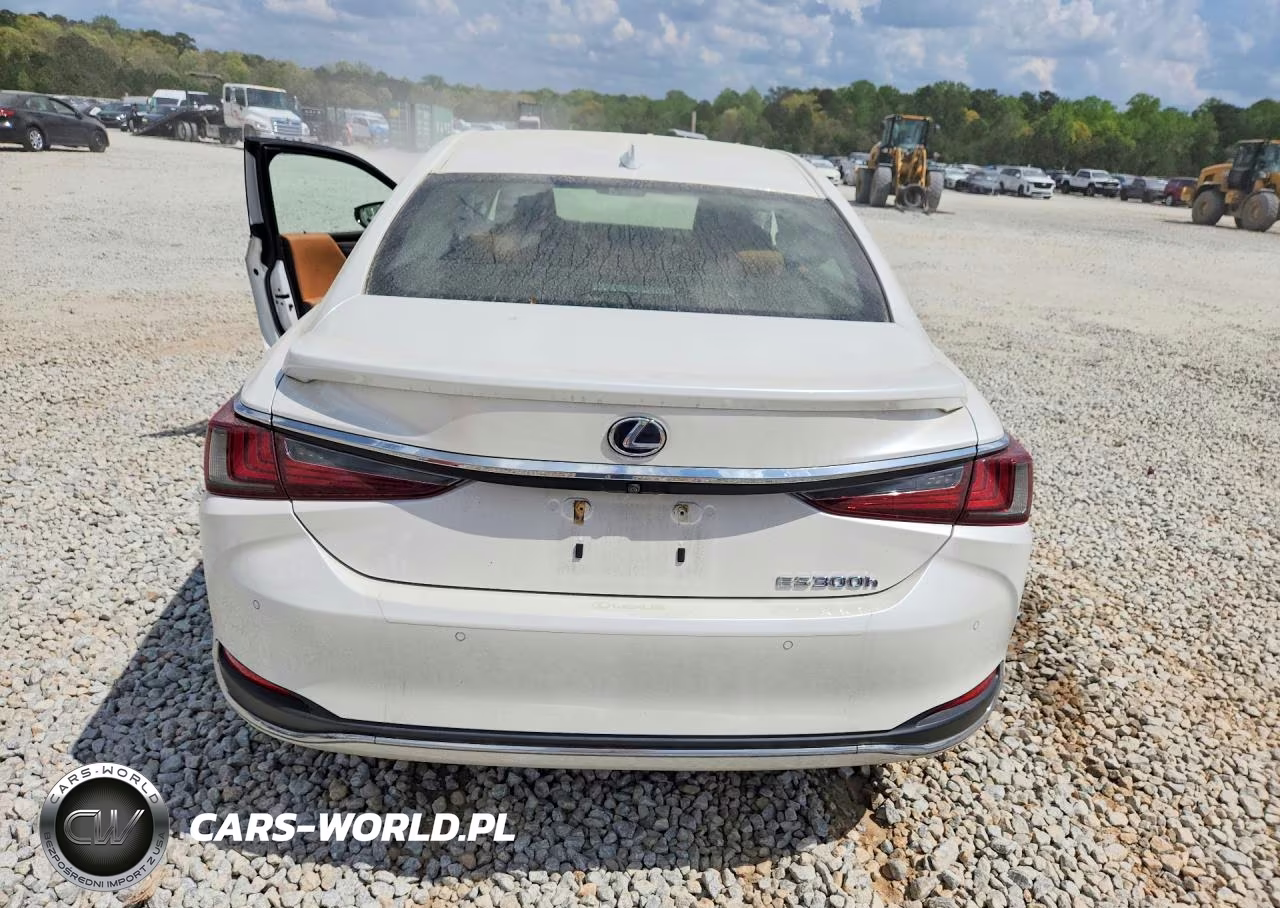 2019 Lexus Es 300H Ultra Luxury VIN:JTHB21B14K2044507 - 6