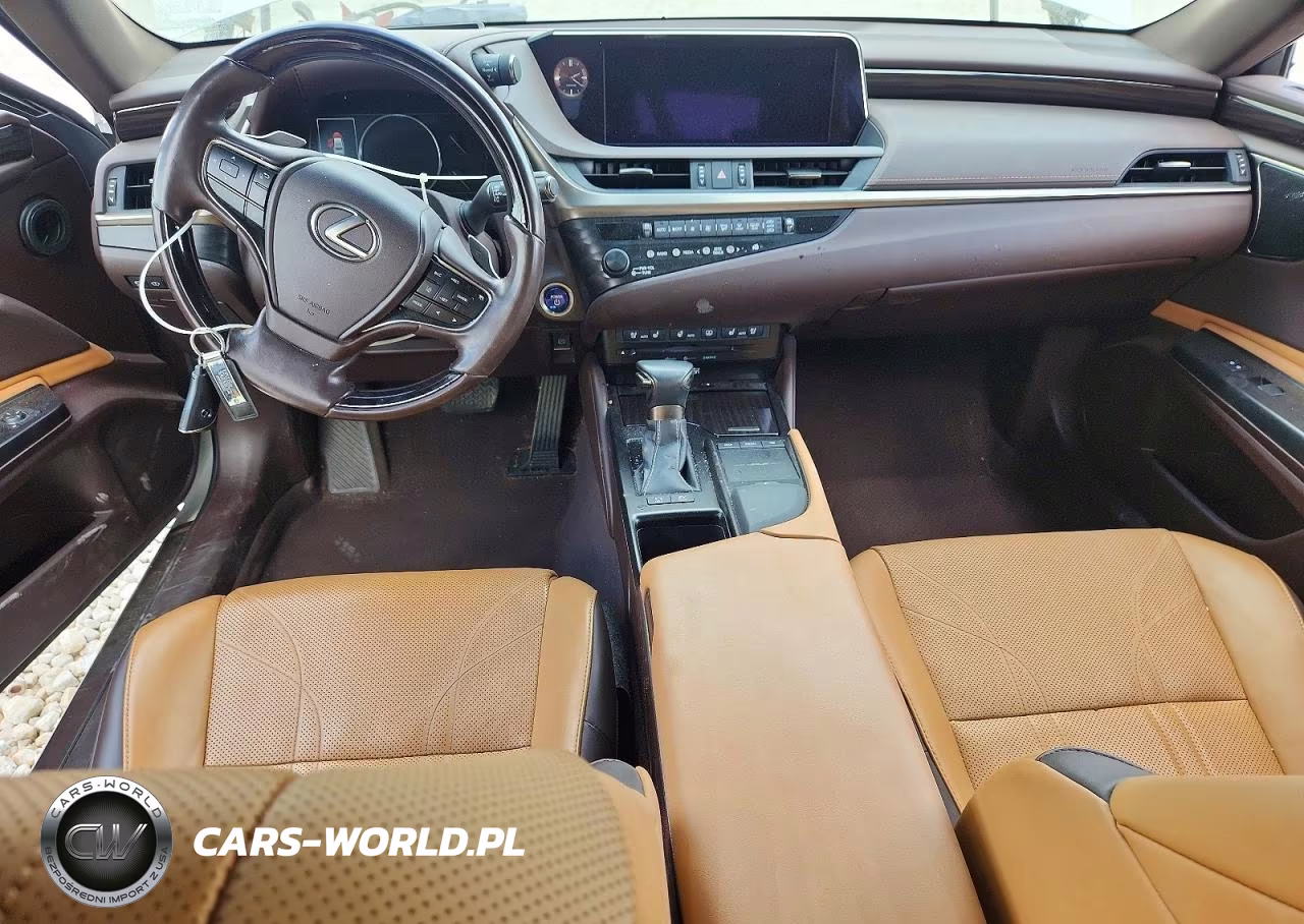 2019 Lexus Es 300H Ultra Luxury VIN:JTHB21B14K2044507 - 8