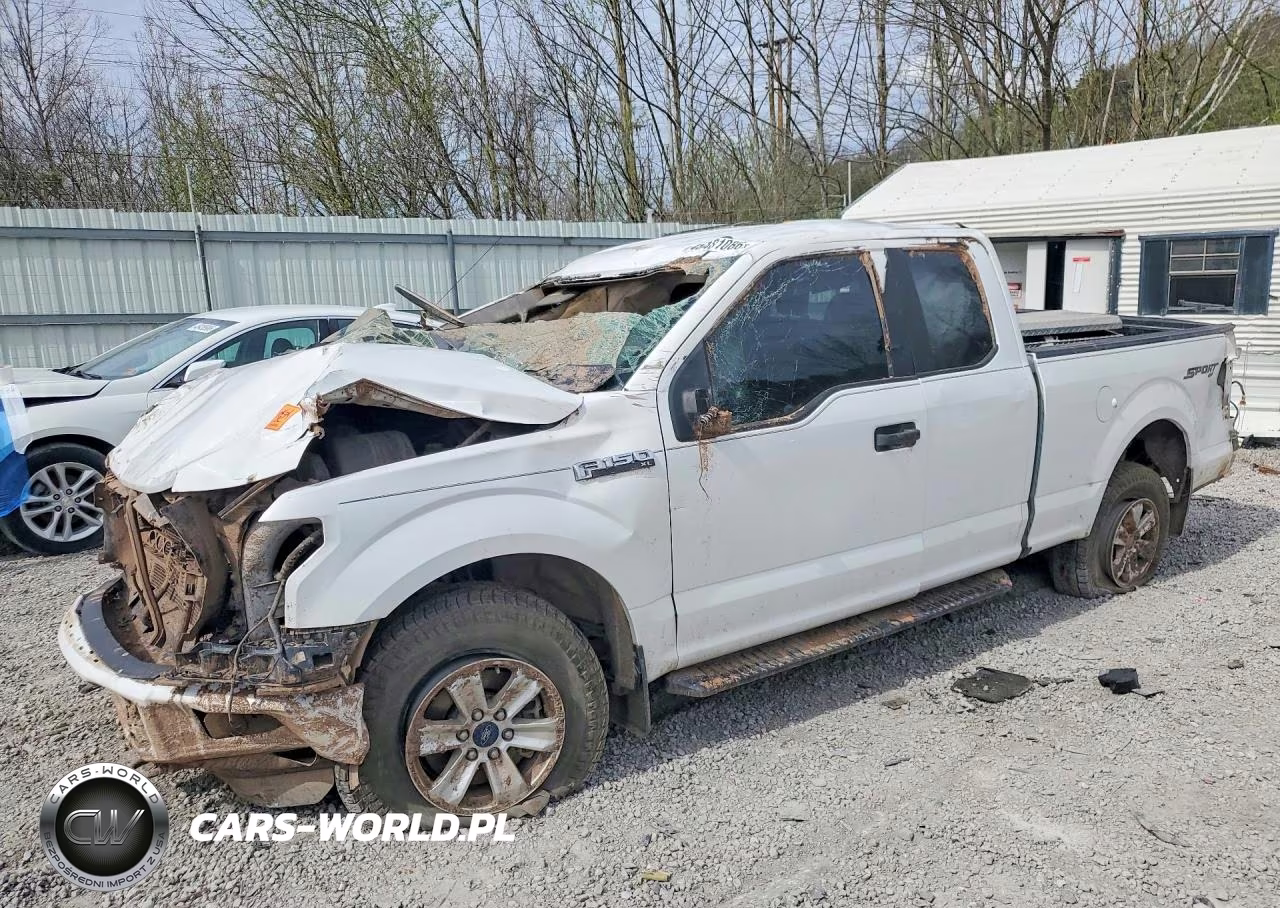 2015 Ford F150 VIN:1FTFX1EF4FFB46917 - 1