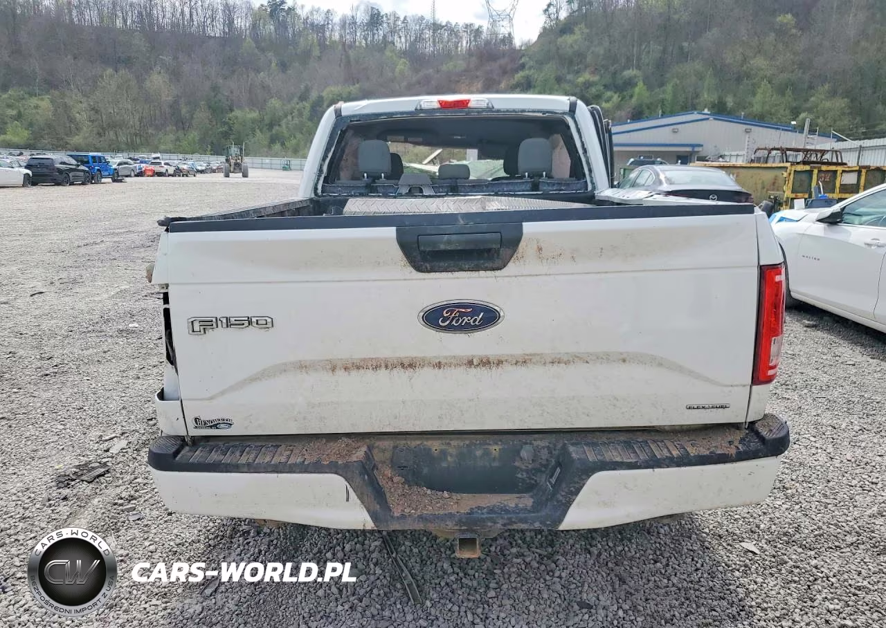 2015 Ford F150 VIN:1FTFX1EF4FFB46917 - 6