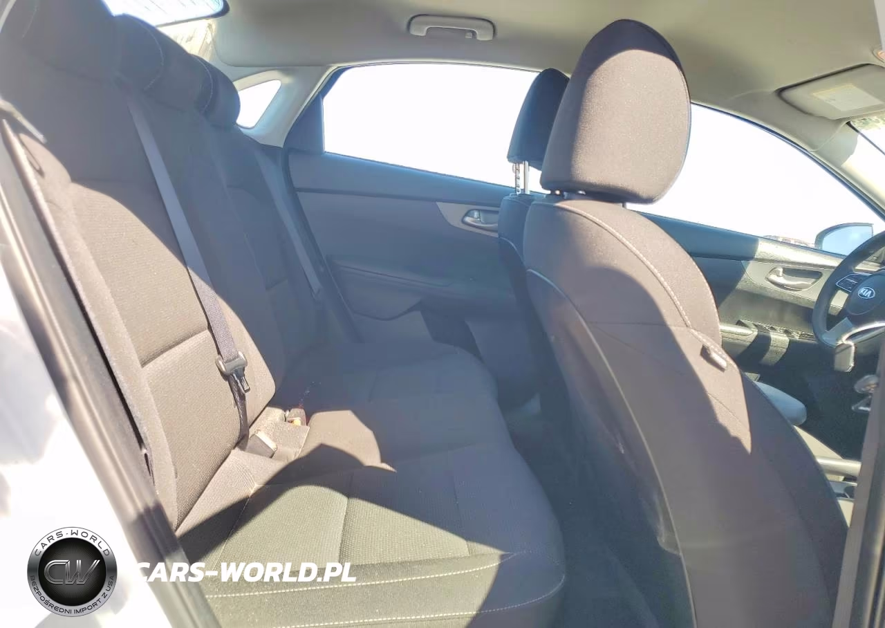 2020 Kia Forte Fe VIN:3KPF24AD5LE190919 - 10